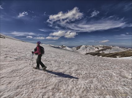 Nic Snow Shoeing - Kosciuszko NP - NSW SQ (PBH4 00 10586)